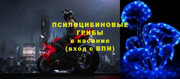 не бодяженный Аркадак